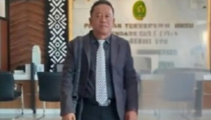Kuasa Hukum Mashaya, 170 Pohon Sawit Bukan Objek Sengketa, Gangguan Adalah Perbuatan Melawan Hukum