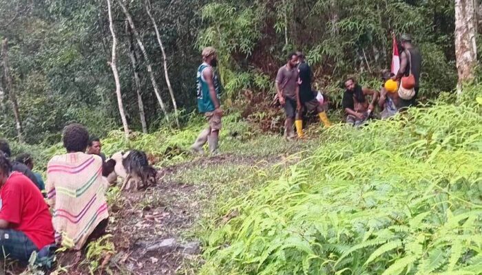 Operasi Militer di Distrik Jila, Ratusan Warga Amua Ogom Mengungsi