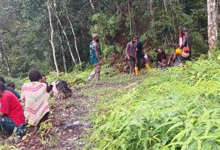 Operasi Militer di Distrik Jila, Ratusan Warga Amua Ogom Mengungsi