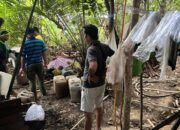 Tim Brasko Polresta Sorong Kota Putus Rantai Miras Ilegal di Katapop